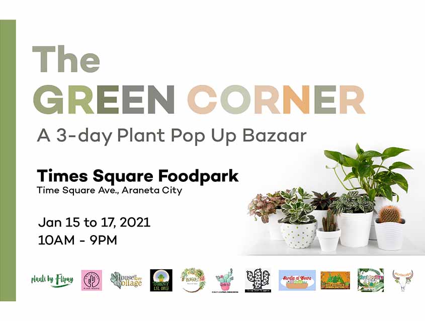 Plant bazaar, other outdoor offerings sprout anew in Araneta City